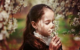 欧美田园高清图片大全,诗意栖息的世外桃源